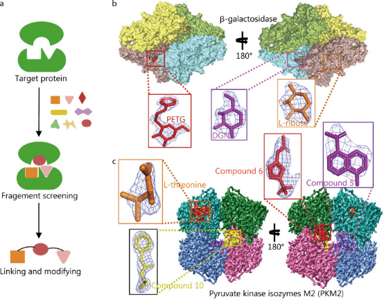 cryo-electron-microscopy-based-drug-design-service2.png