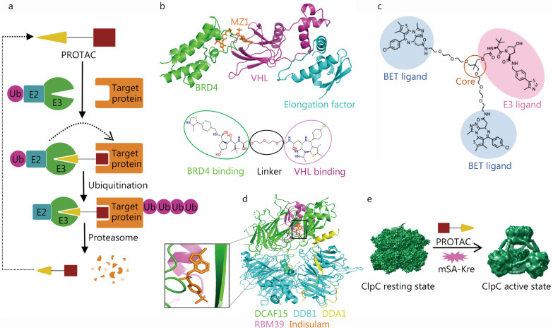 cryo-electron-microscopy-based-drug-design-service3.png