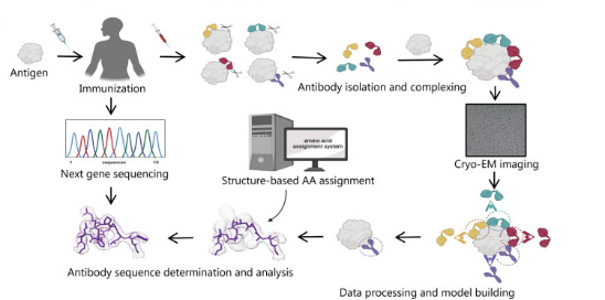 cryo-electron-microscopy-based-drug-design-service4.png