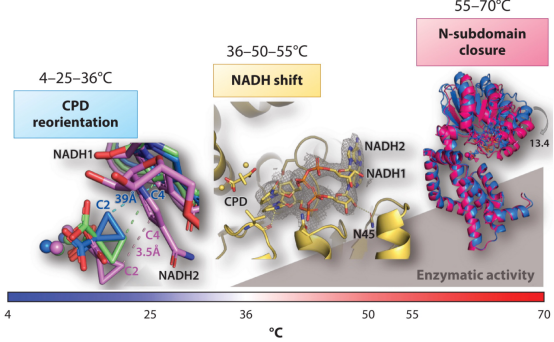 cryo-electron-microscopy-based-drug-design-service5.png