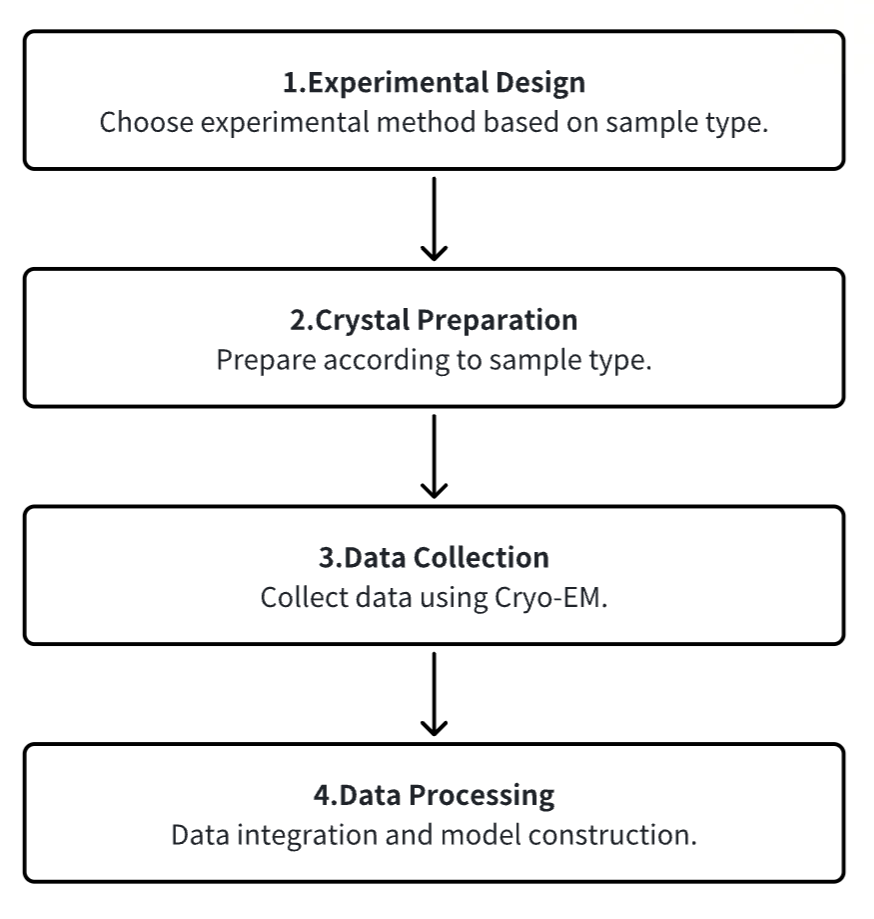 cryo-electron-microscopy-based-drug-design-service6.png