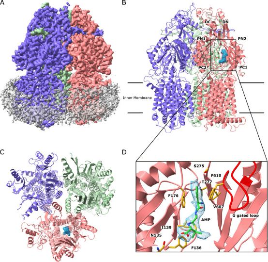 cryo-electron-microscopy-based-drug-design-service9.png