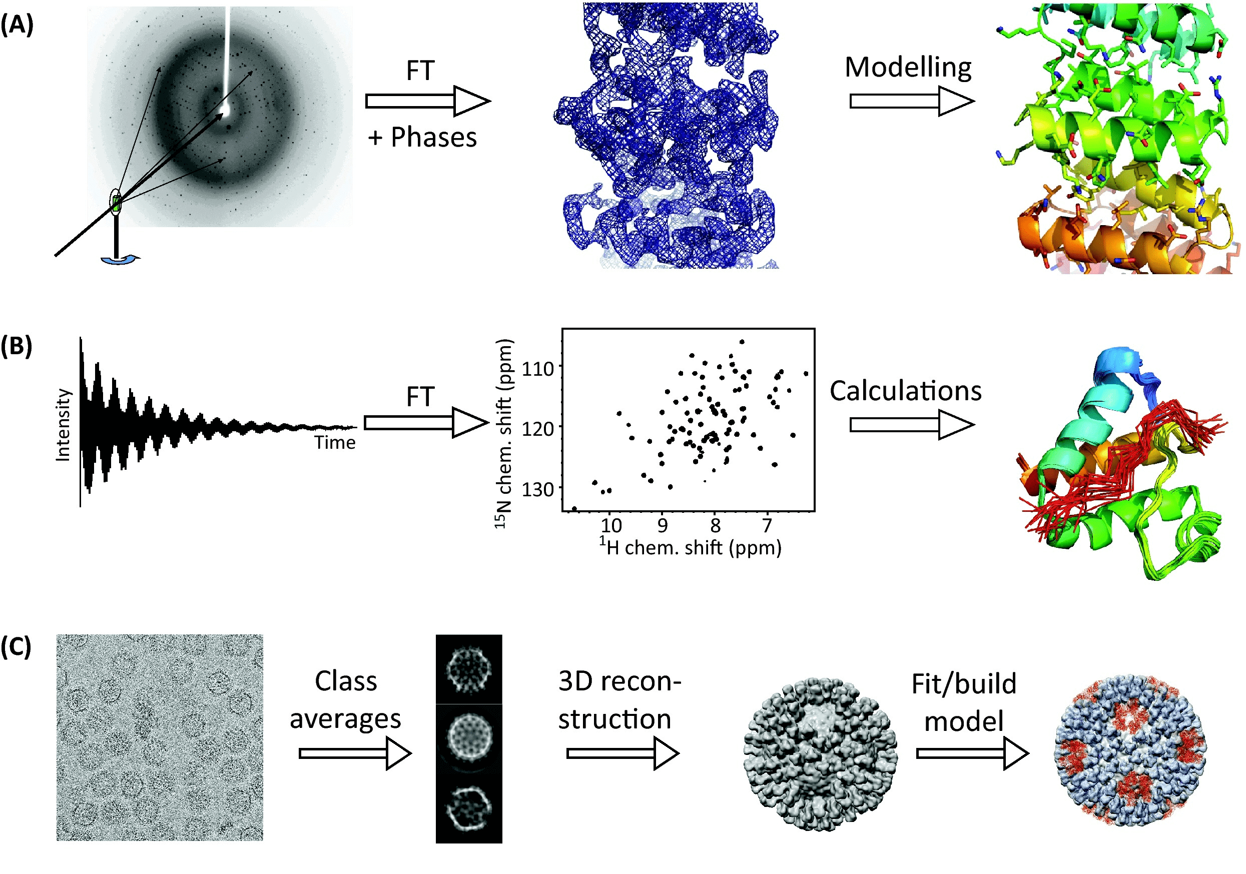 cryo-electron-microscopy1.png