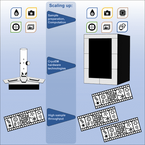 cryo-electron-microscopy3.png