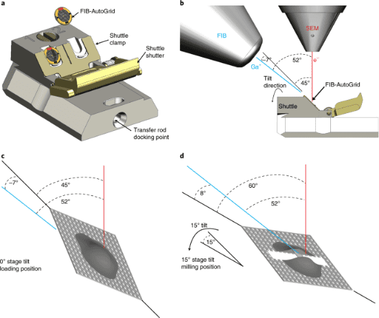 cryo-electron-tomography3.png