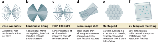 cryo-electron-tomography4.png