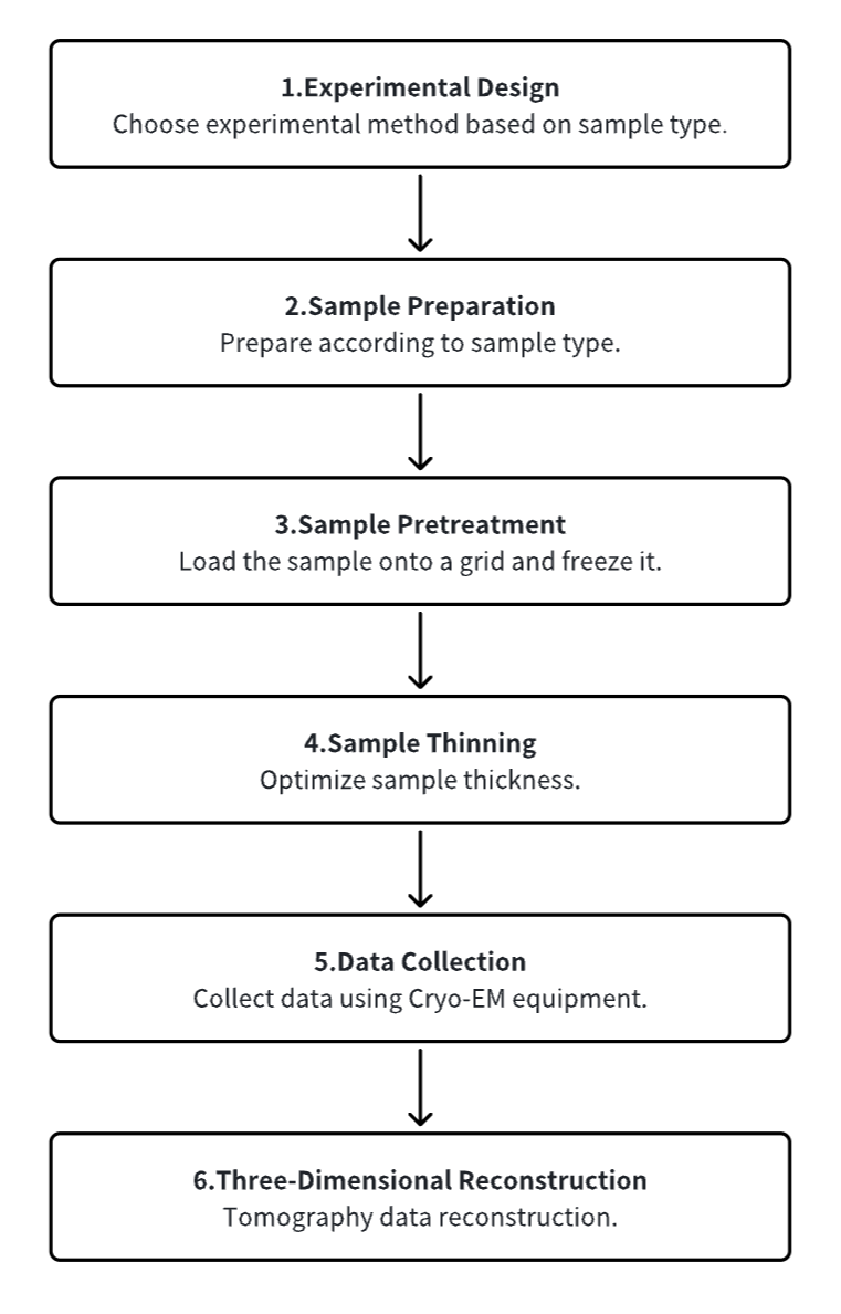 cryo-electron-tomography6.png