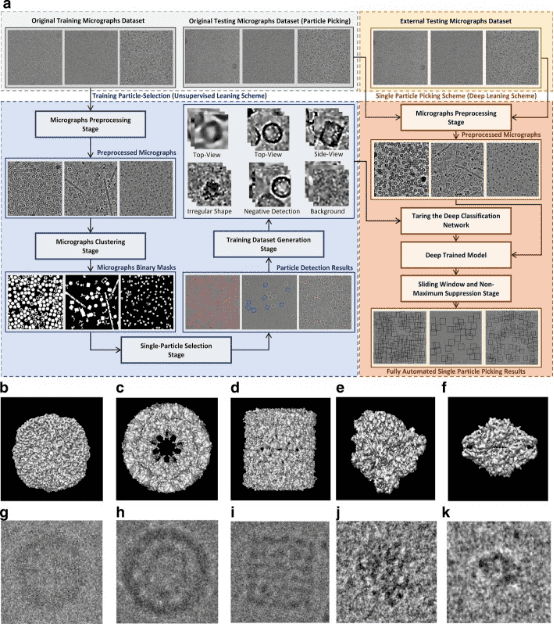 cryo-em-single-particle-analysis13.png