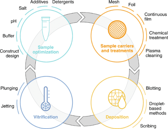 cryo-em-single-particle-analysis2.png