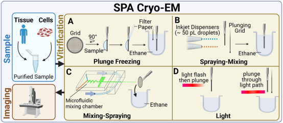 cryo-em-single-particle-analysis5.png