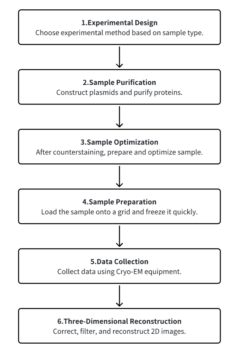 cryo-em-single-particle-analysis7.png