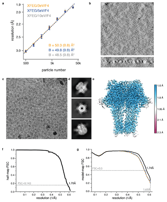 cryo-em-single-particle-analysis9.png