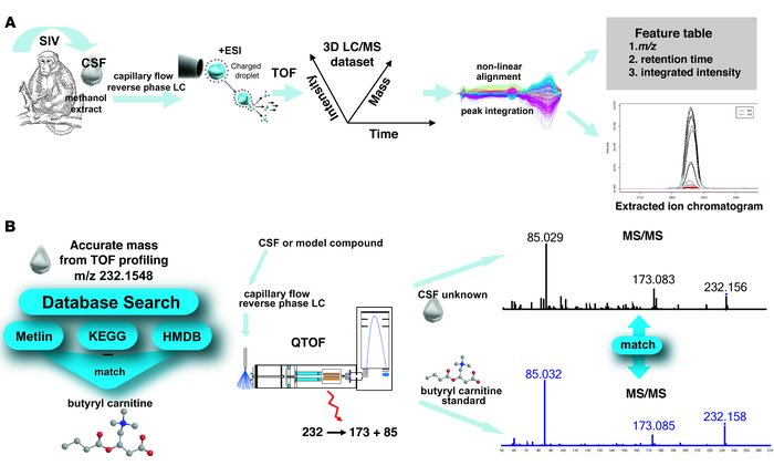 csf-untargeted-metabolomics1.png