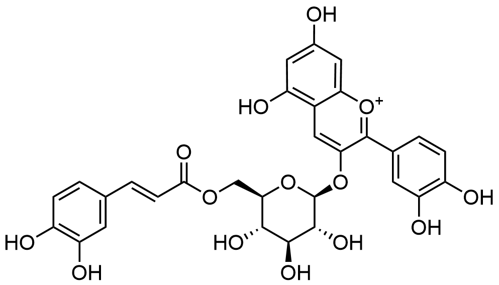 cyanidin-3-6-o-p-caffeoyl-glucoside-analysis-service1.png