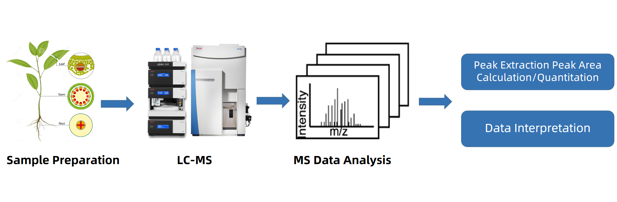 cytokinin-ctk-analysis-service2.png