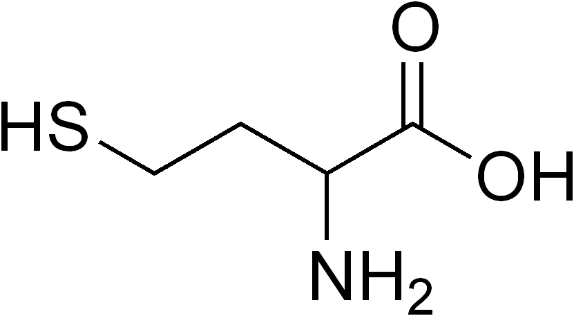 d-homocysteine-analysis-service1.png