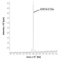 determination-of-molecular-weight1.png