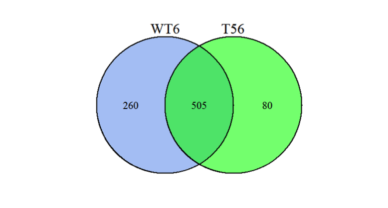 differential-protein-statistical-analysis2.png