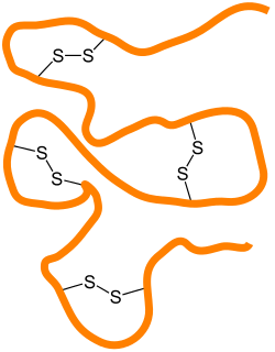 disulfide-bond-analysis-service1.png