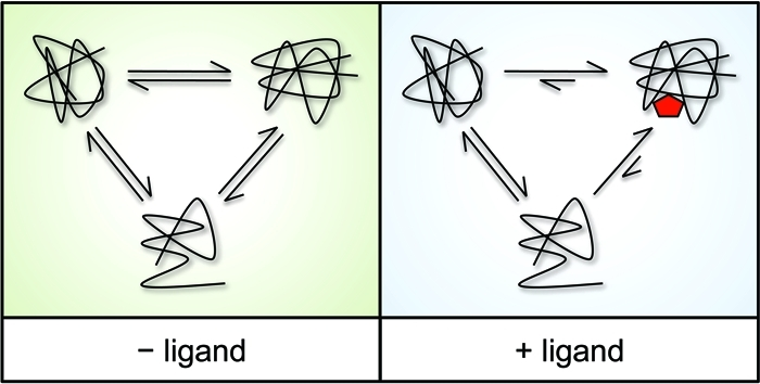 drug-affinity-responsive-target-stability-darts1.png