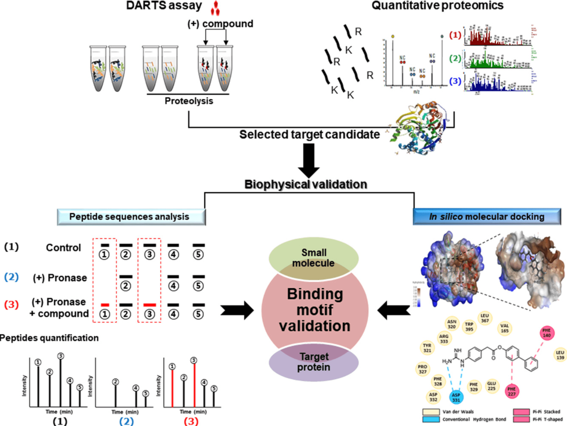 drug-affinity-responsive-target-stability-darts9.png