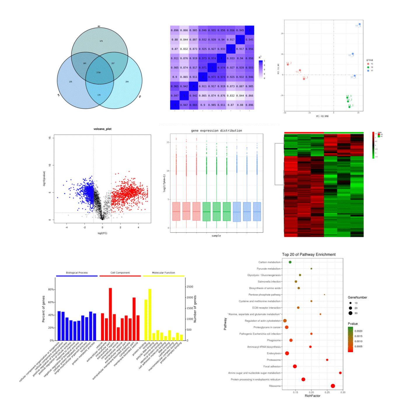 eukaryotic-non-ginseng-transcriptome-sequencing2.png