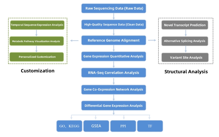 eukaryotic-transcriptome-sequencing1.jpg