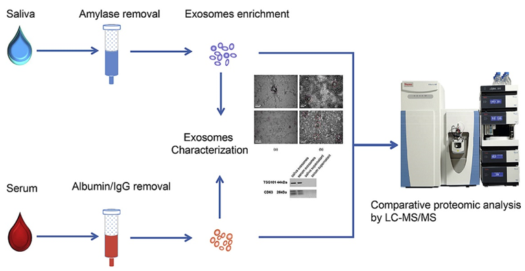 exosome-proteomics1.png