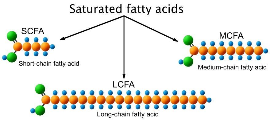 fatty-acids-analysis-service1.jpg