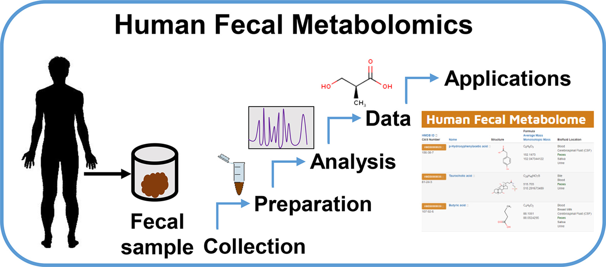 feces-metabolomics-service1.jpg