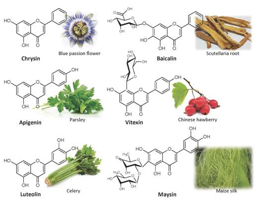 flavones-analysis1.png