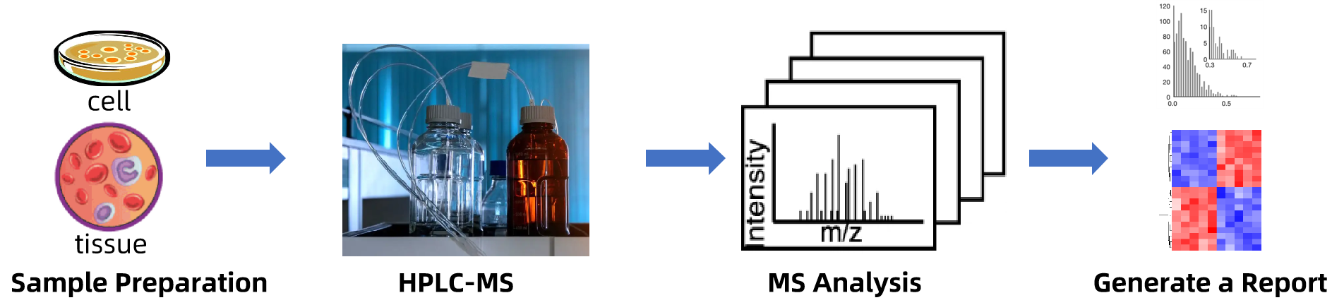 folate-analysis-service1.png