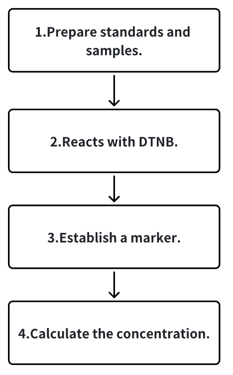 free-sulfhydryl-quantification2.png