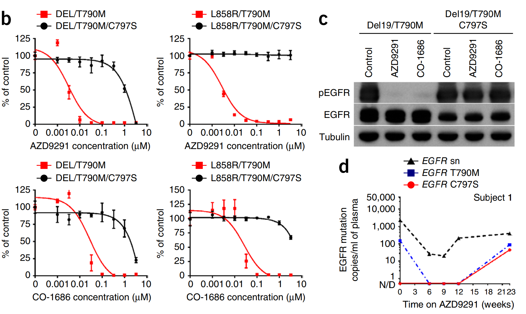 gene-knockout-for-drug-screening-and-target-identification3.png