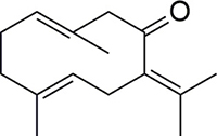 germacrone-analysis-service1.jpg