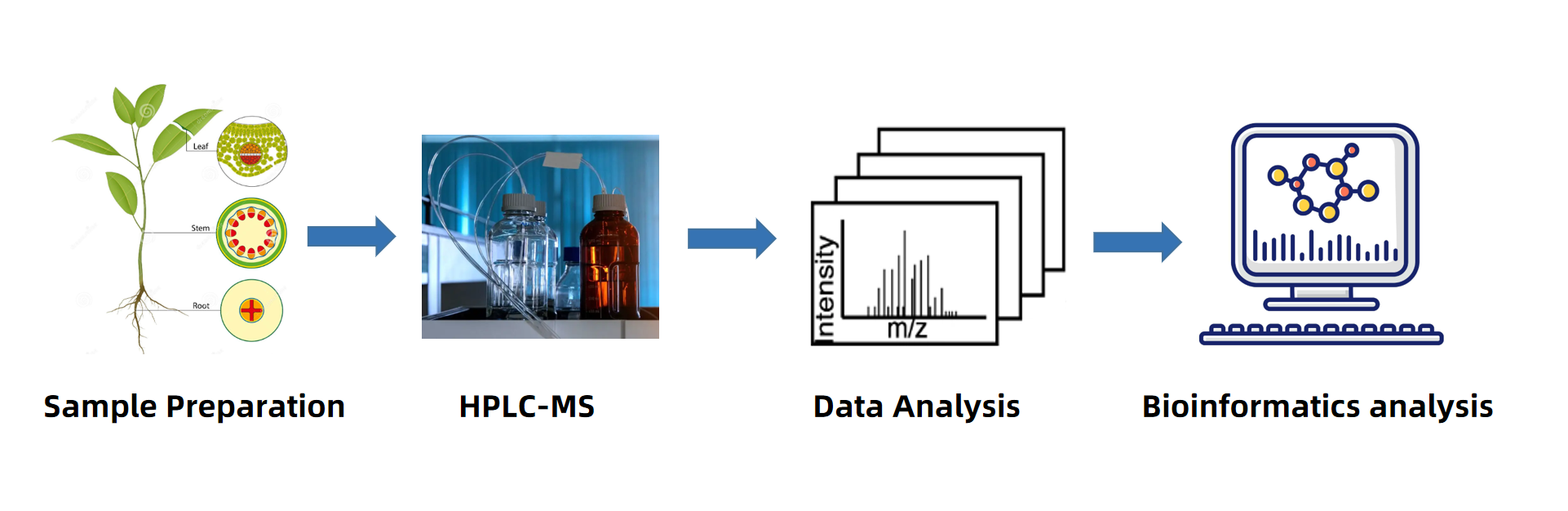 gibberellins-ga-analysis-service2.png