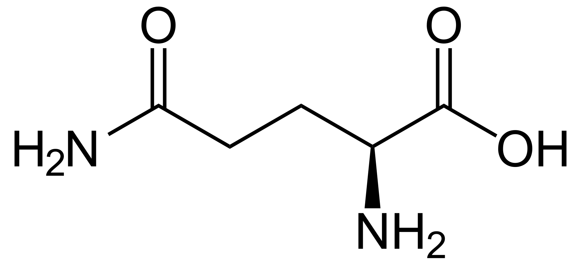 glutamine-metabolism-analysis-service1.png