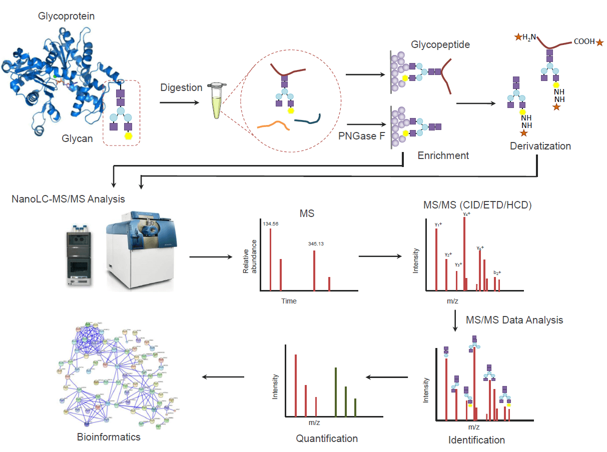 glyco-proteomics1.png