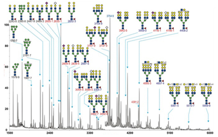 glycomic-profiling1.png
