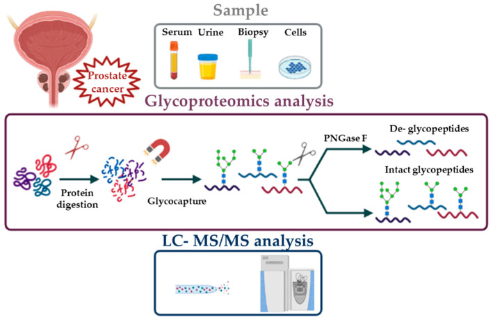 glycoproteomicsanalysisservice1.jpg