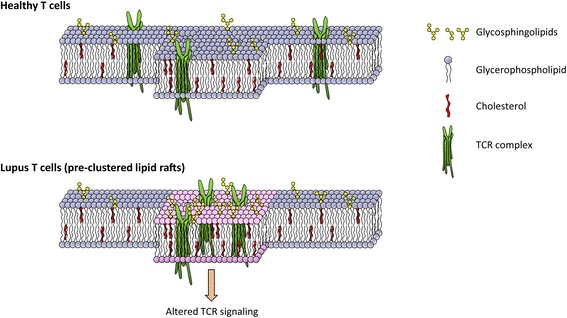 glycosphingolipid-analysis-service1.jpg