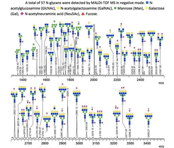 glycosylated-analysis1.jpg