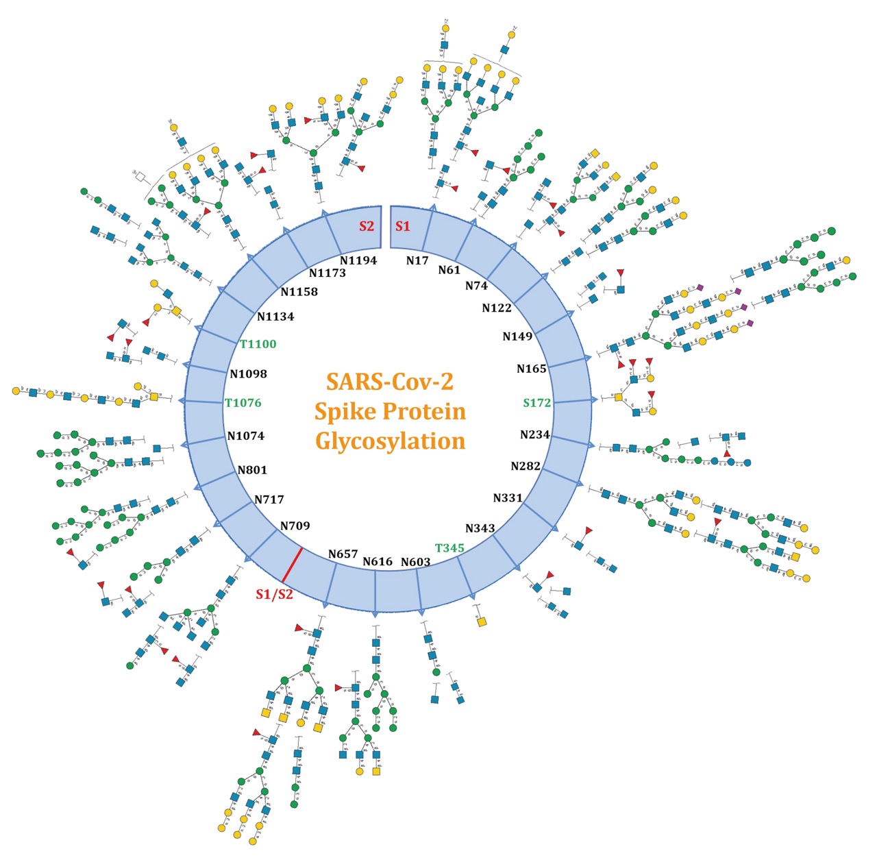 glycosylated-peptide-analysis5.jpeg