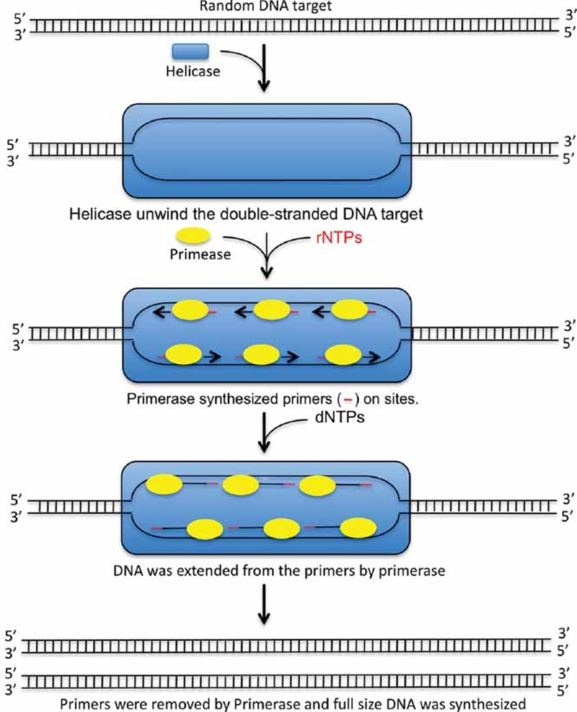 hcd-detection-kit2.png