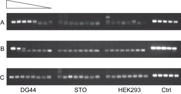 hcd-detection-kit5.png