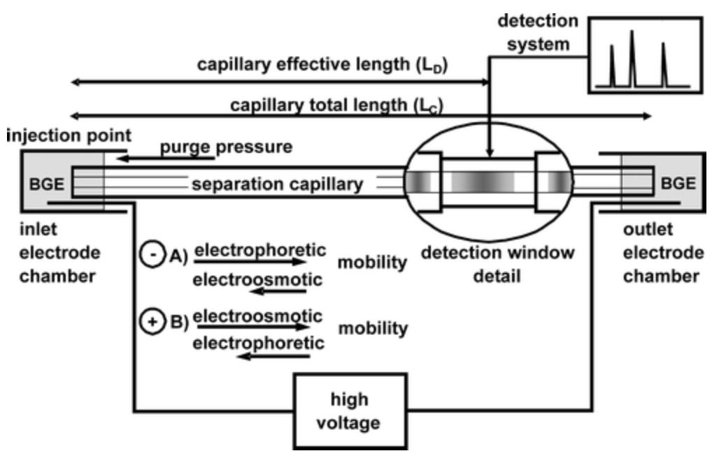 hcd-fragment-detection-kit1.jpg