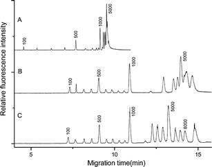 hcd-fragment-detection-kit10.jpg