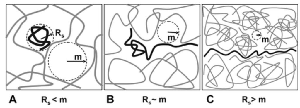 hcd-fragment-detection-kit2.jpg