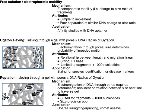 hcd-fragment-detection-kit3.jpg