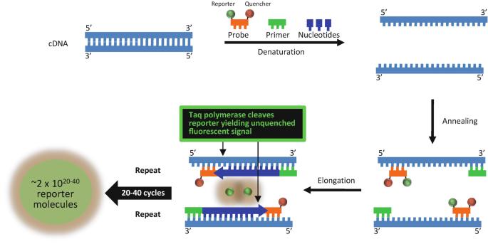 hcd-fragment-detection-kit5.jpg